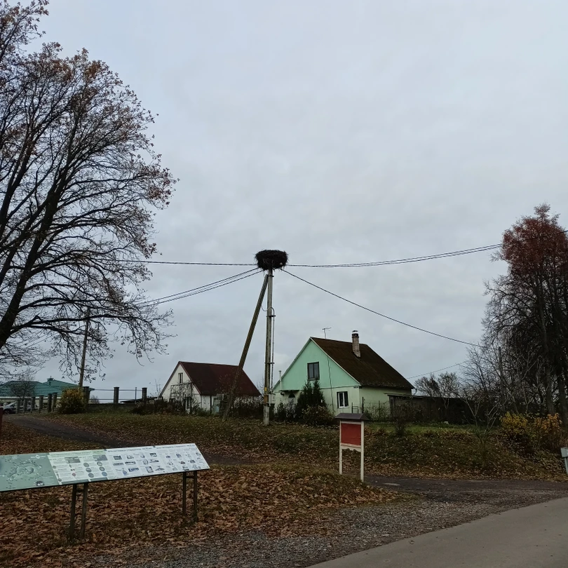 Прекрасно организована экскурсия. Организатор Диана забрала нас из отеля и начала свой рассказ сразу же, мы