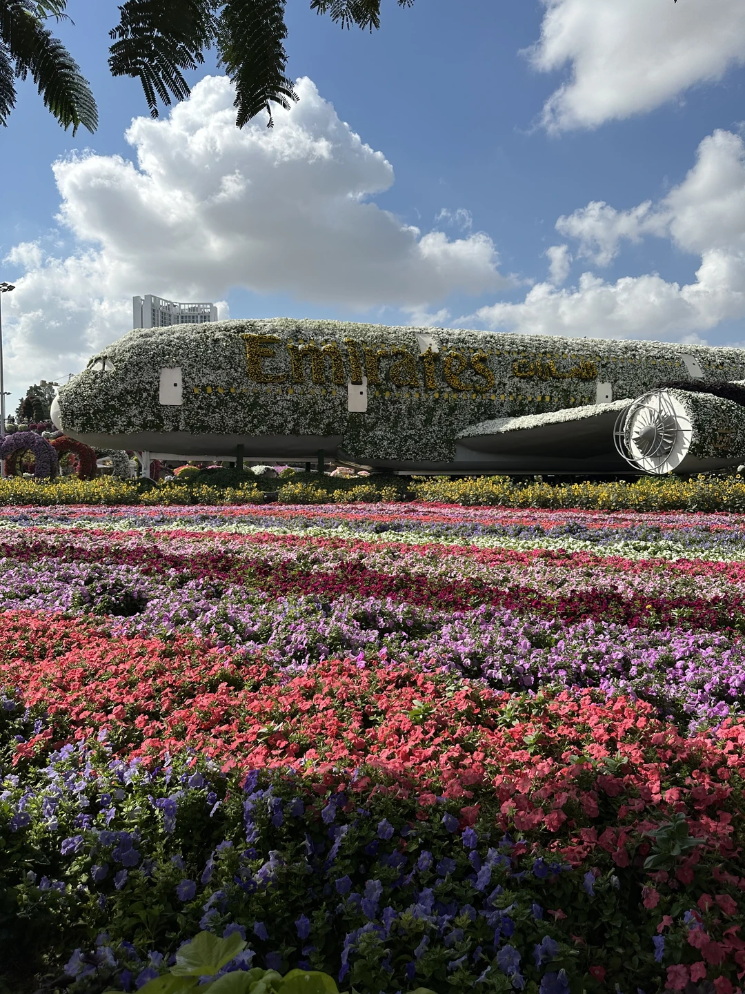 Были на индивидуальной экскурсии по Дубаю с экскурсоводом Исламом и день получился просто замечательный. Всё прошло