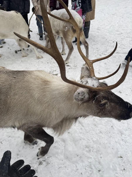 Познавательно, подробно, знающий и комфортный гид. Единственное, что могу предложить. это чуть четче обозначать время, для