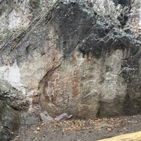 Фото отзыва 1: экскурсия "Из Ташкента — в горы Чимгана!"