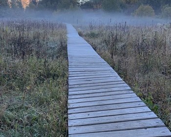 Встреча, заброска до места старта, поход до озера, разбивка стоянки