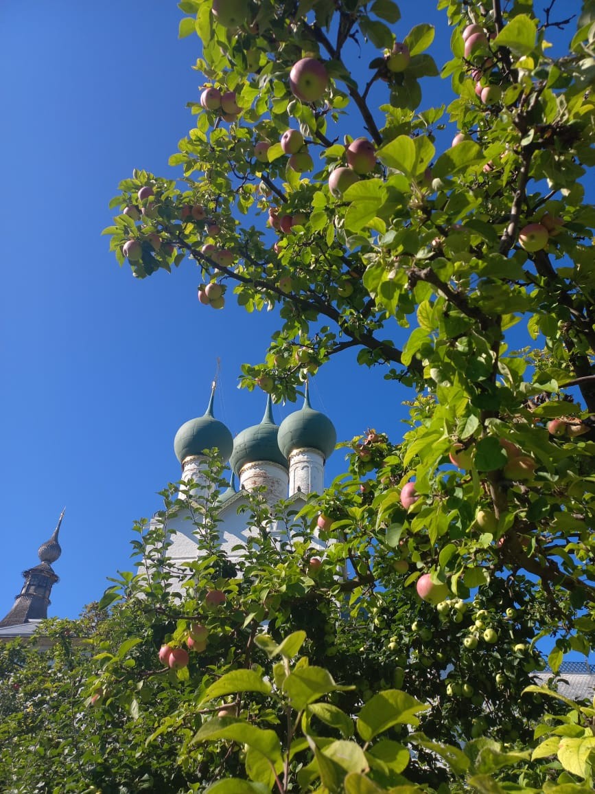Ростов Великий: экскурсия по кремлю и городу (Елена)