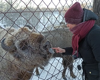 Окрестности Чуйского тракта