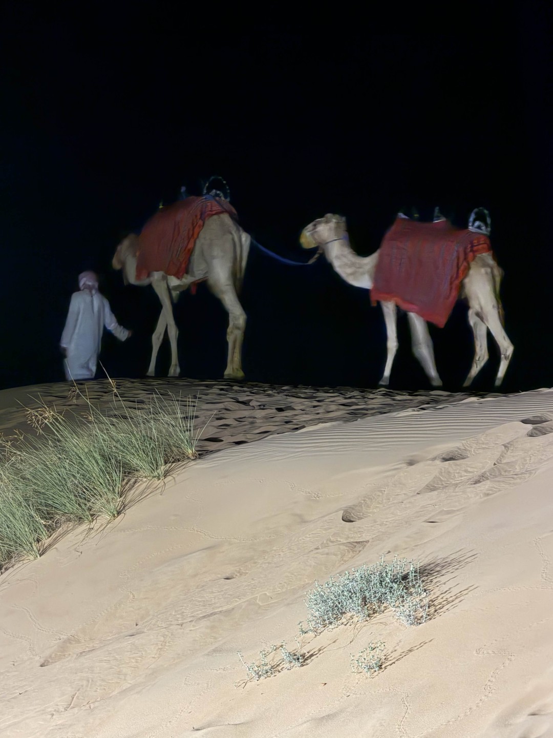 Это невероятные эмоции, гид Марина спасибо огромное. Машина шикарная. Водитель Ахмед - очень комфортно и профессионально