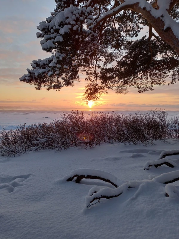 Из Петербурга в Комарово: обитель муз и гениев (в уютной мини группе)