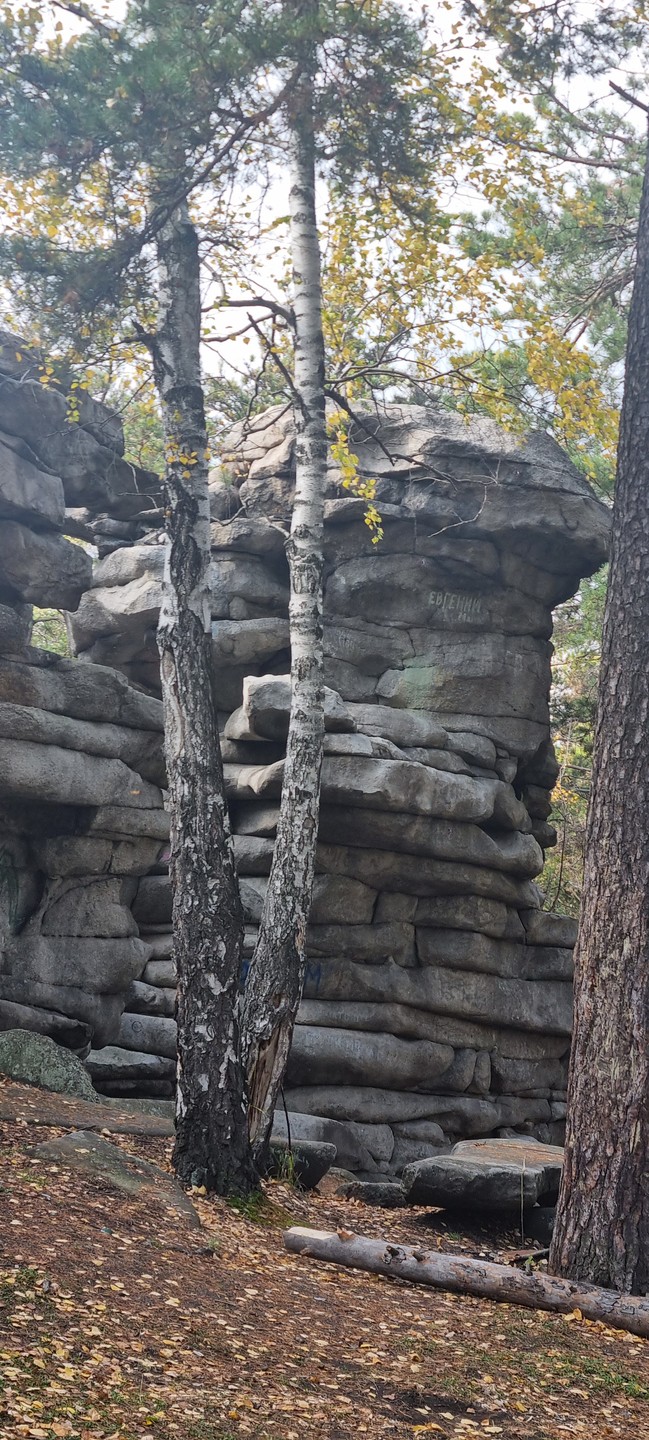 Великолепная экскурсия, Андрей отличный водитель и прекрасный собеседник. Очень хорошо и познавательно рассказывает об истории местности