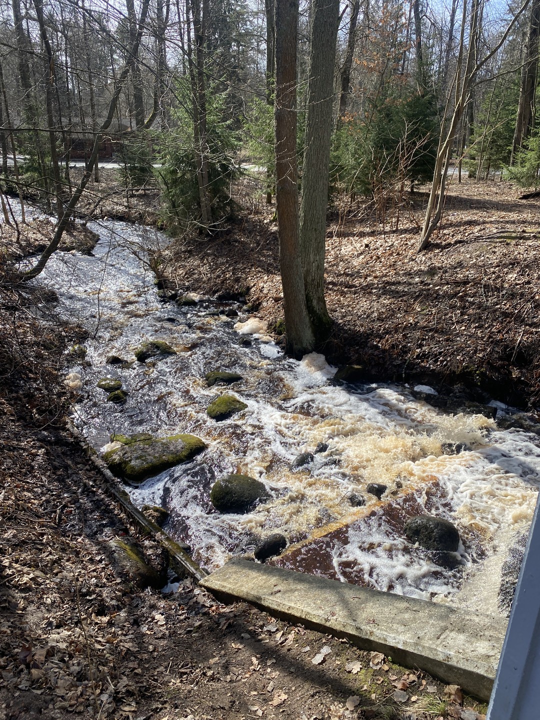 Получили огромное удовольствие от прогулки!