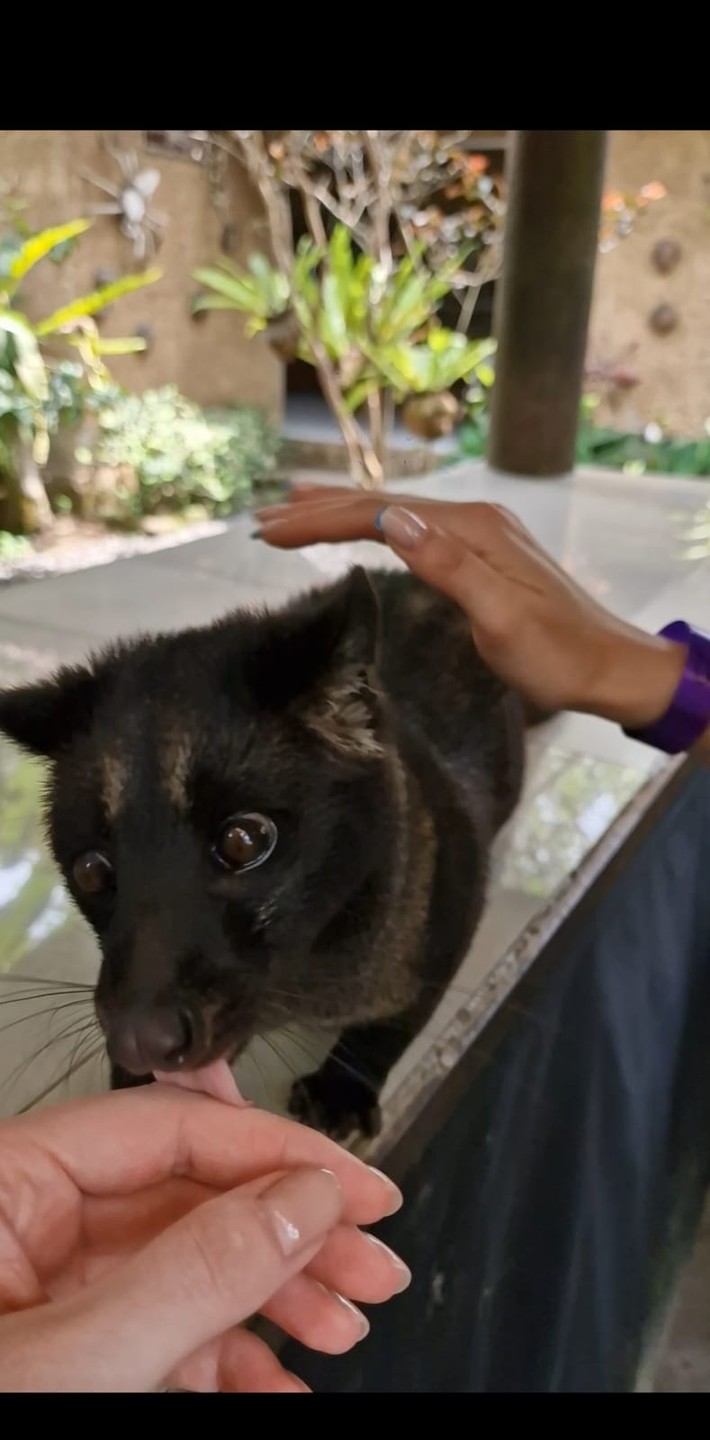 Очищение разума и души на Бали (Аделя)