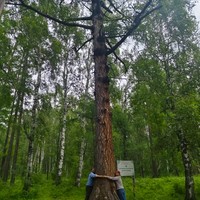 Фото отзыва 2: экскурсия "Тункинская долина и Аршан из Иркутска: групповая поездка по местам силы"