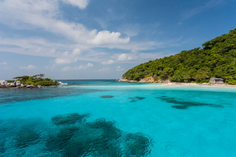 На катамаране по островам Пхукета (тайский буфет включён)