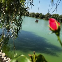 Фото путешественника — 5