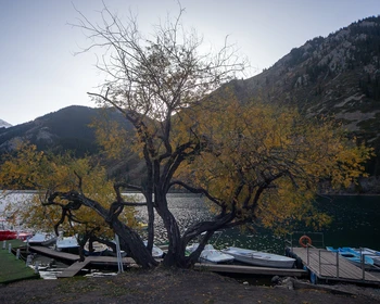 Озёра Кольсай и Каинды, переезд на Иссык-Куль