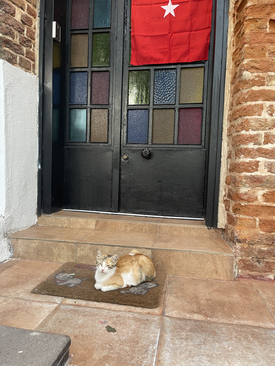 Моя поездка в Стамбул могла бы не состоятся, если бы накануне я случайно не набрела в