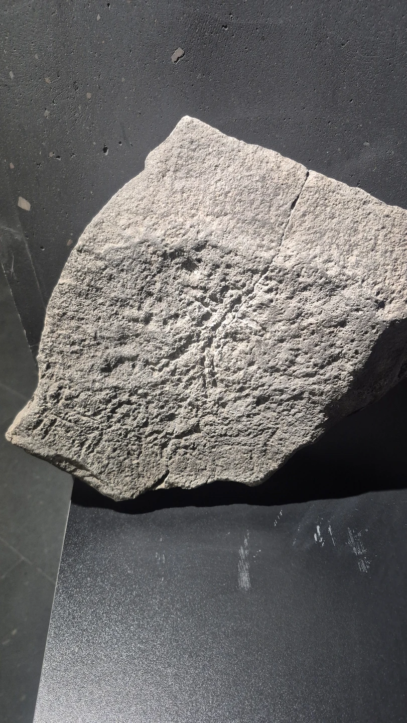 Очень интересная и насыщенная поездка. Тут и природа и история и дегустация вин. Гид Хасмик прекрасный