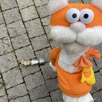 Фото отзыва 2: экскурсия "Детский квест «Котодетектив в Пятигорске»"