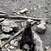 Фото отзыва 2: экскурсия "Лучшие места в окрестностях Владивостока"