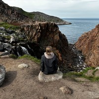 Фото отзыва 6: экскурсия "Териберка за 1 день: посёлок, китовое сафари и дегустация морепродуктов"