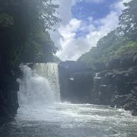 Фото отзыва 3: экскурсия "Экзотическое приключение на 5 островах (всё включено)"