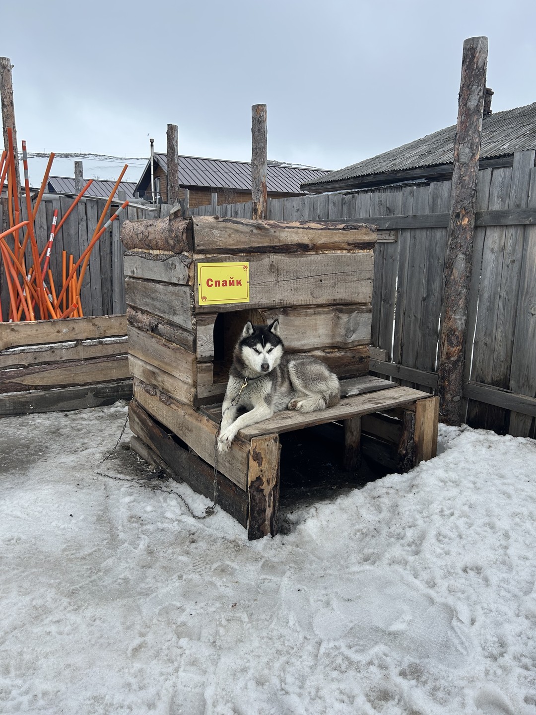 День был полон впечатлений, начиная от лисички на подъезде к Териберке, заканчивая закрытой дорогой по пути обратно в Мурманск.