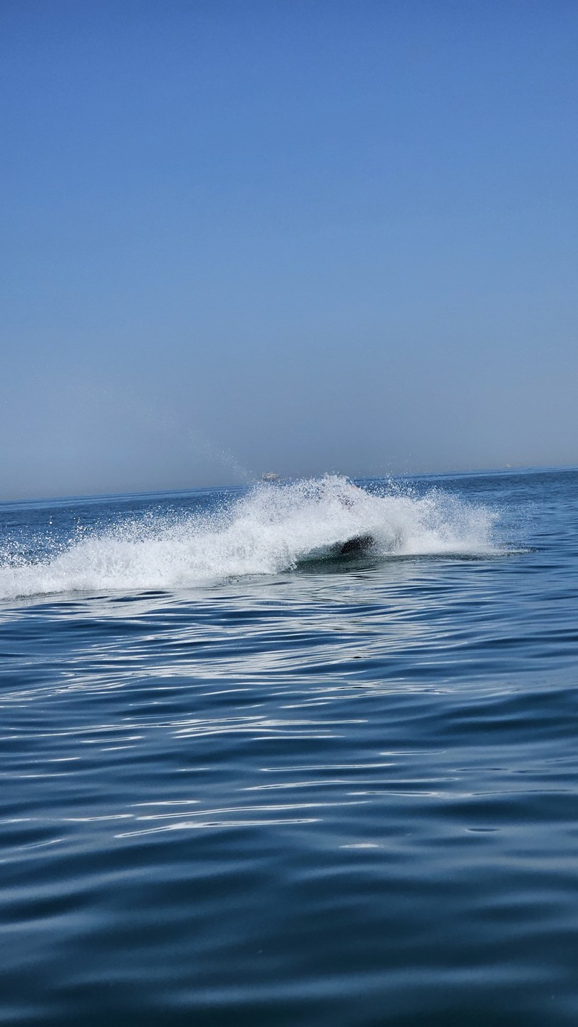 Спасибо огромное за эмоции!!! Это очень круто! Однозначно рекомендую всем! Мы остались очень довольны! Скорость, свобода, красота!