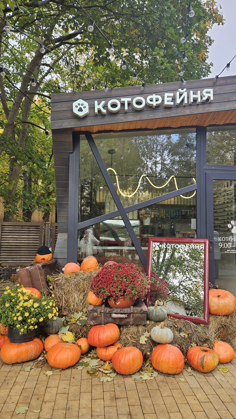 Улочки, дворы и парадные Кранца-Зеленоградска (Виктория)