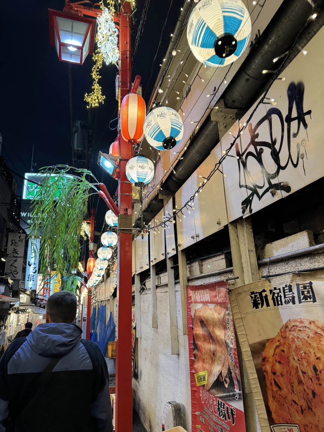 Тёмные аллеи Токио (18+) (Валерия)