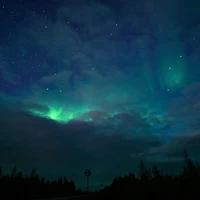 Фото отзыва 3: экскурсия "Северное сияние в Мурманске — увидеть хотя бы раз!"