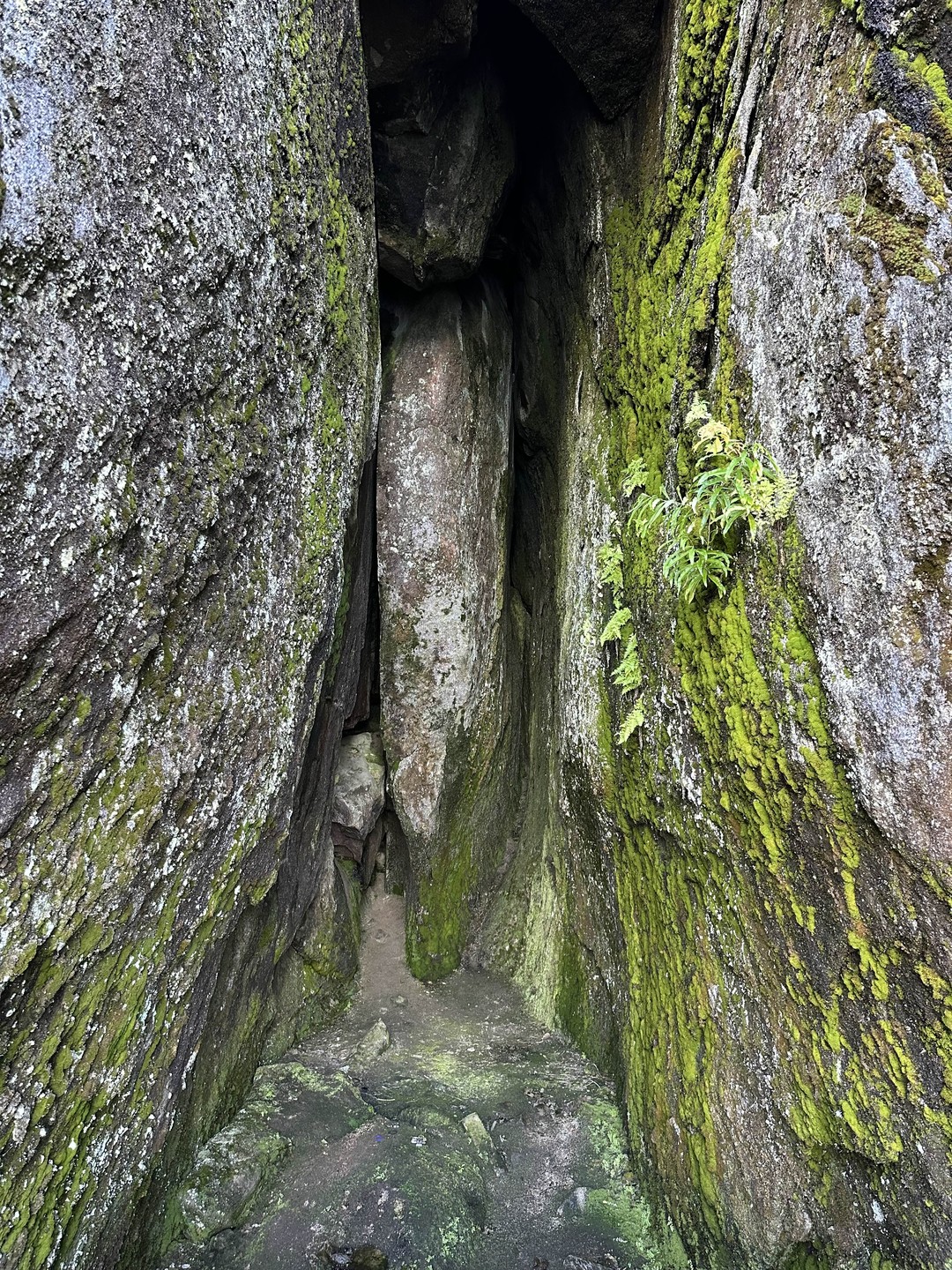 Завораживающий Северный Байкал (Елена)
