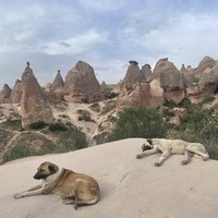 Фото отзыва 1: экскурсия "Все краски Каппадокии"