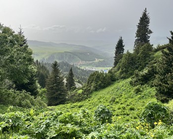 Переезд в горы