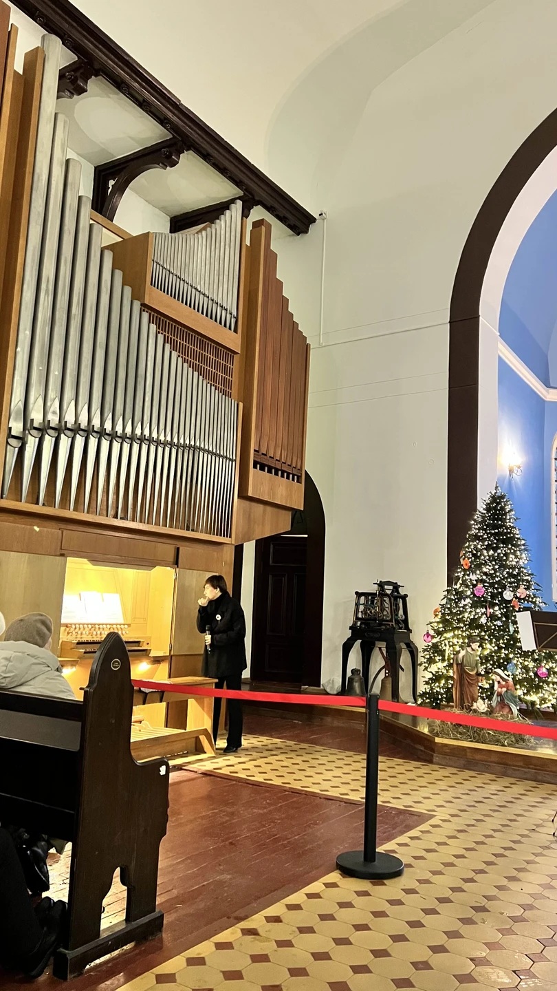 Отличная экскурсионная программа! Советую. Понравилось в католическом соборе и на концерте органной музыки. Интересно было на экскурсии