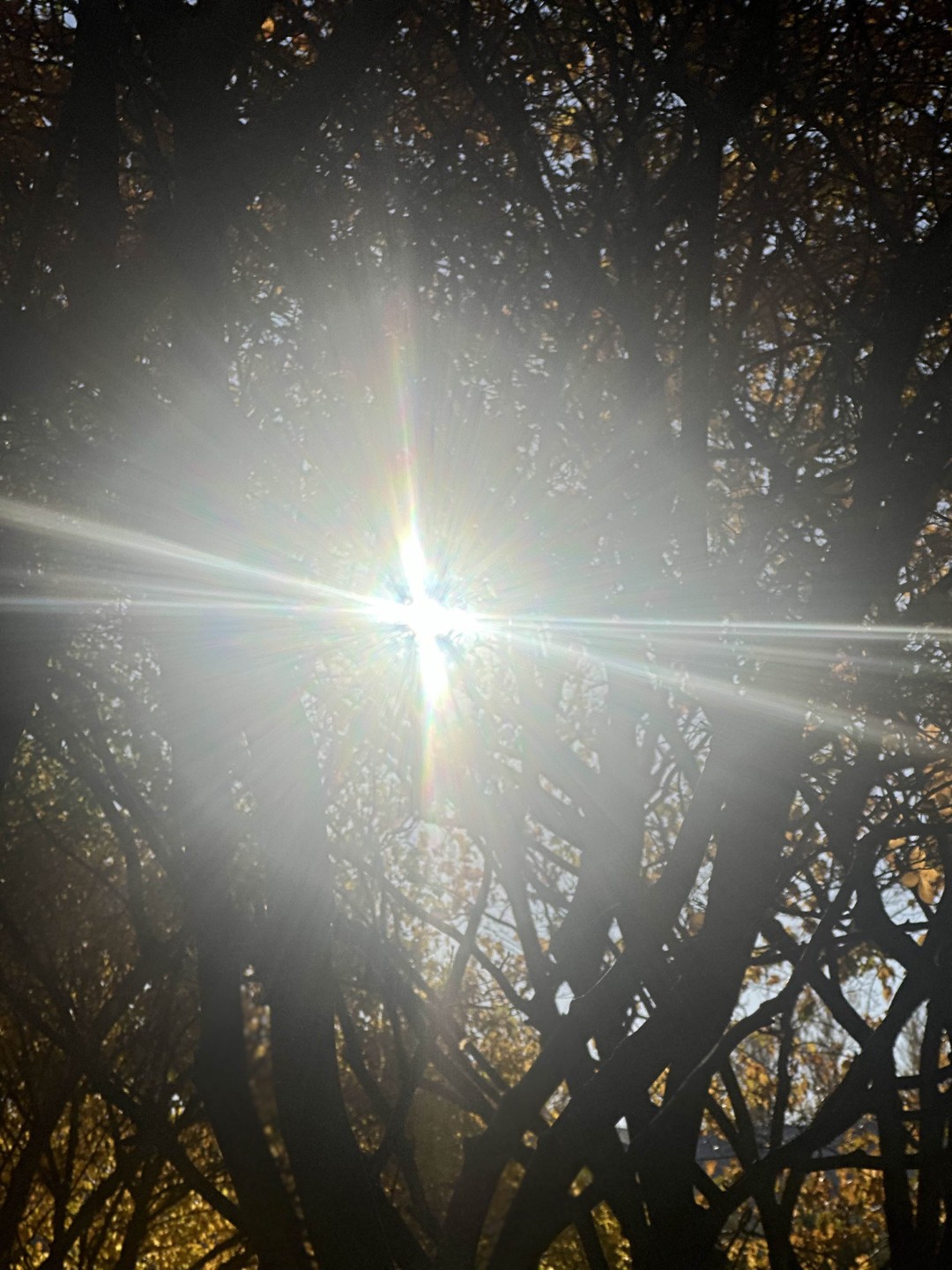 Креативные пространства Петербурга (Ольга)