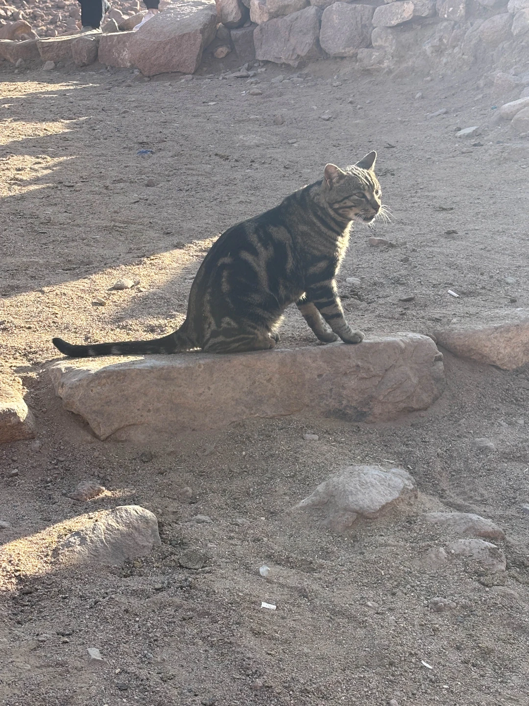 Экскурсия нам очень понравилась❤️ мы были в ноябре 2025