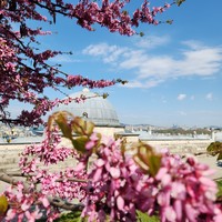 Фото отзыва 7: экскурсия "Чарующий Стамбул"