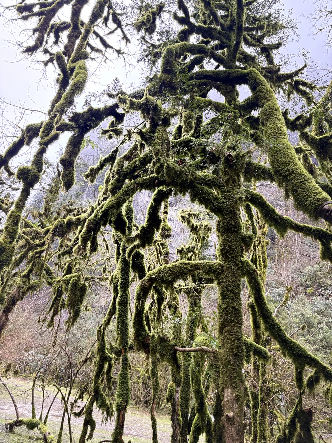 Поездка состоялась, несмотря на проливной дождь