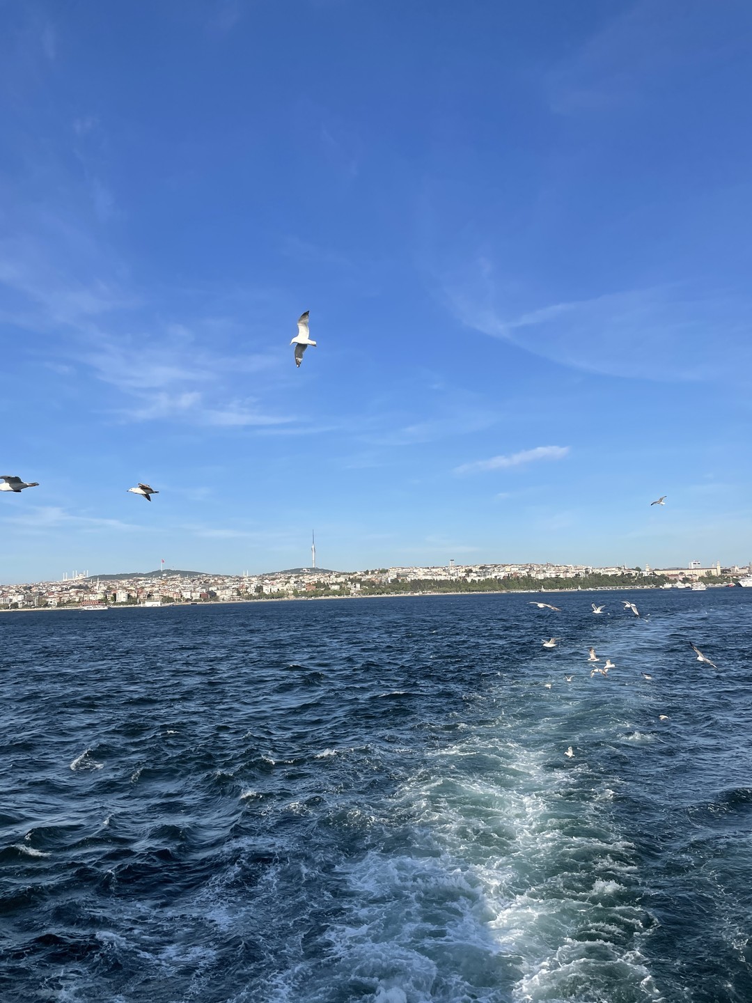 Давно не ходили с экскурсией, но нам очень понравилось. Общение с Олесей было приятным, лёгким и