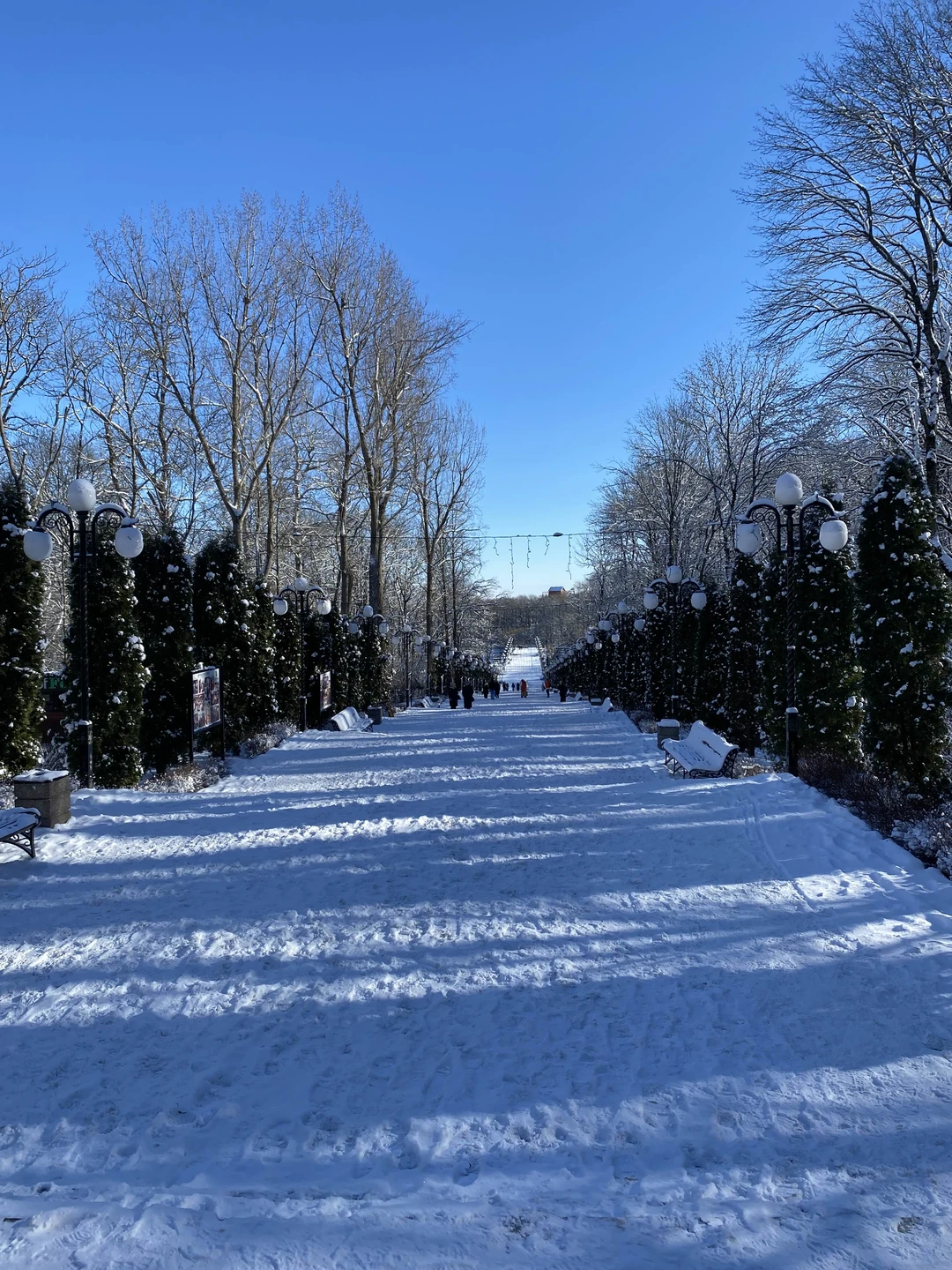 Все очень понравилось. Мы ездили с детьми разных возрастов от мало до велика. Понравилось всем, много