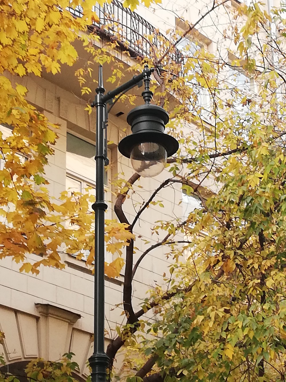 Обзорная экскурсия по Москве + Романов двор (14/16)