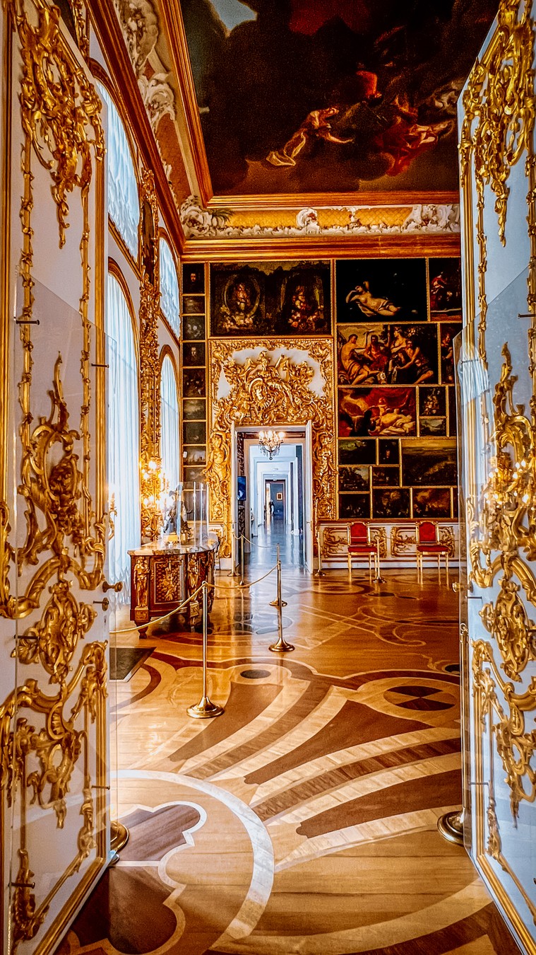 Екатерининский дворец в Пушкине (из Петербурга) (15/16)