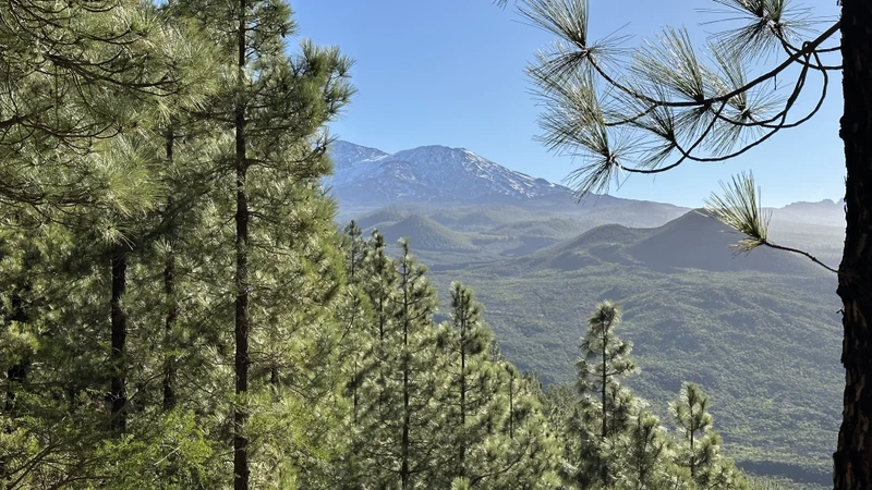 Горная прогулка над ущельем Маска и реликтовый лес Тенерифе