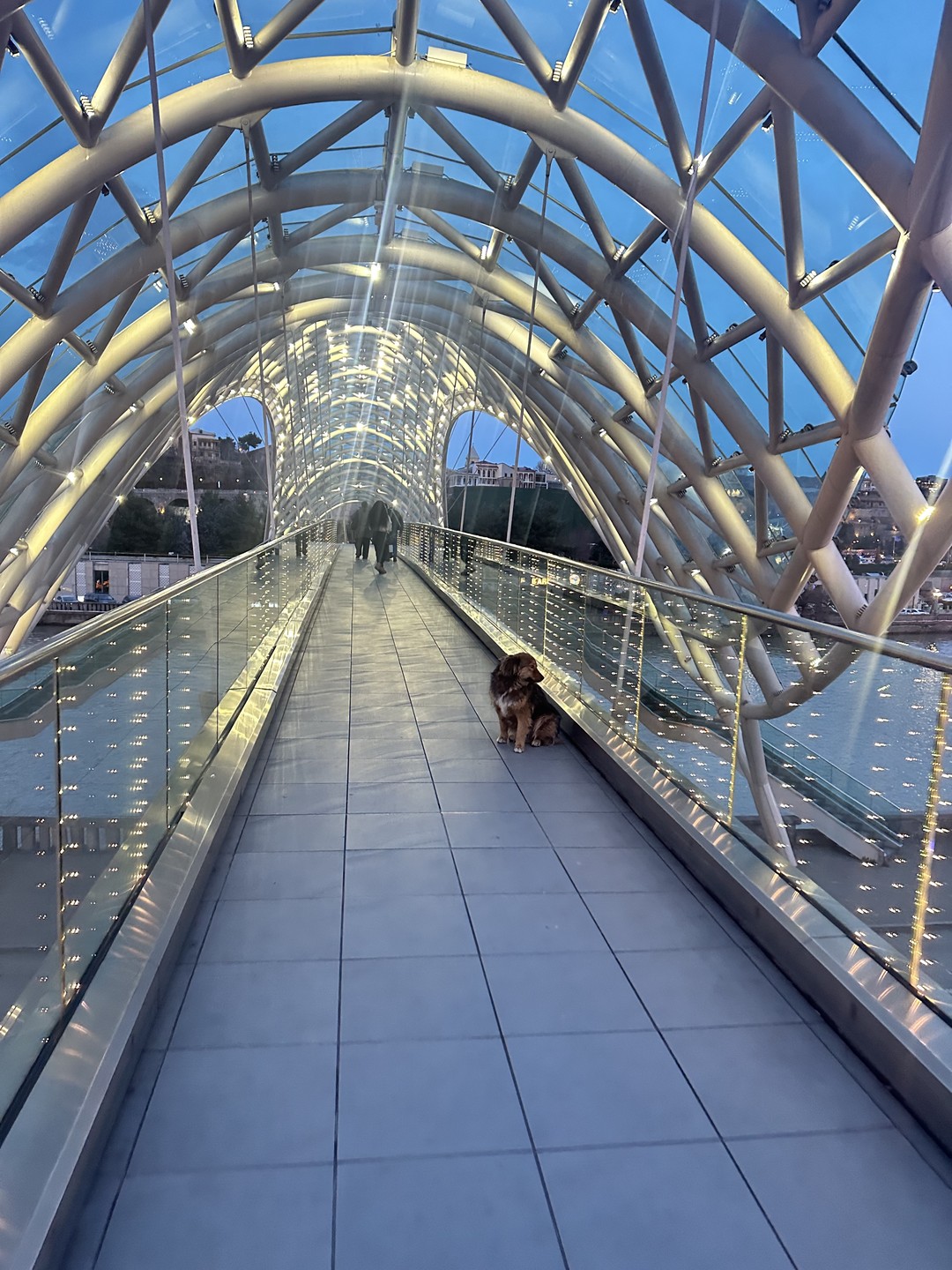 Старый Тбилиси: пешая экскурсия, прогулка на катере и грузинское вино (София)