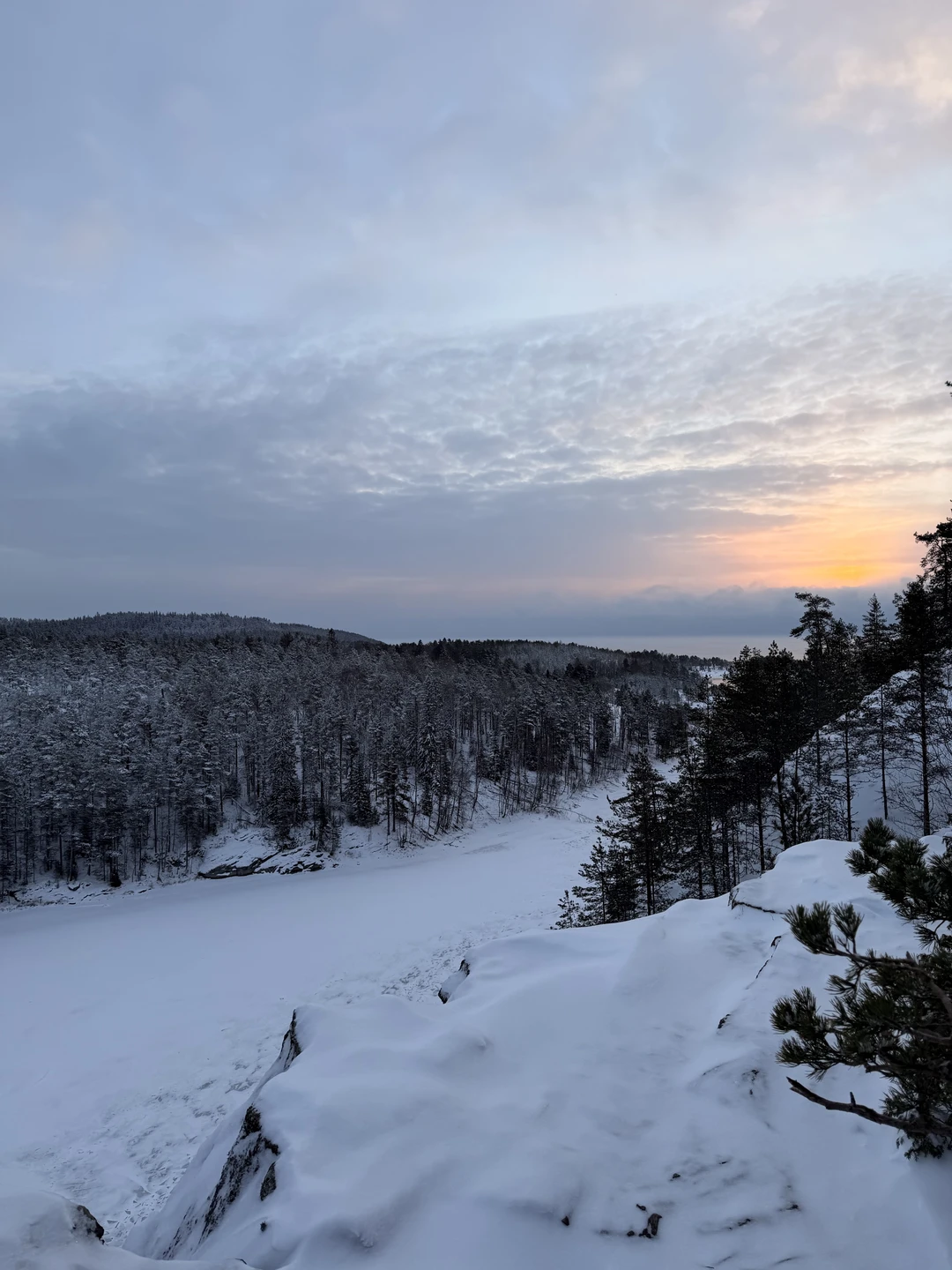Понимаю насколько важны отзывы при выборе экскурсии, так вот: посетили экскурсию с семьей 04.01.26, после внесения