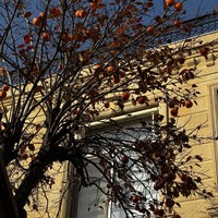 Фото отзыва 3: экскурсия "Старый город Баку: история и узкие улочки"