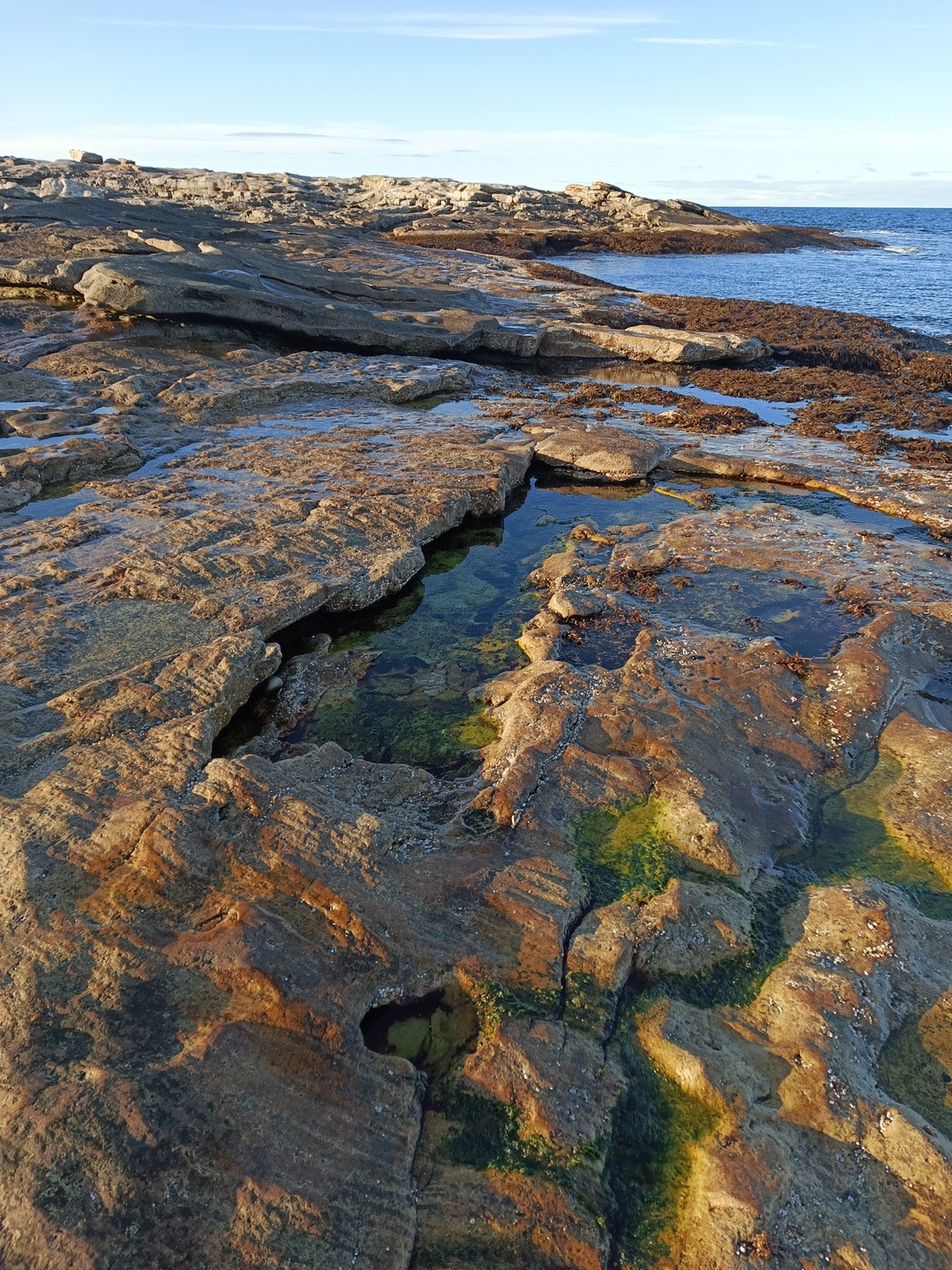 ЛУЧШИЙ ДЕНЬ! Если вам нравится природа севера, бездорожье, шикарные виды и проводник с неиссякаемыми знаниями и