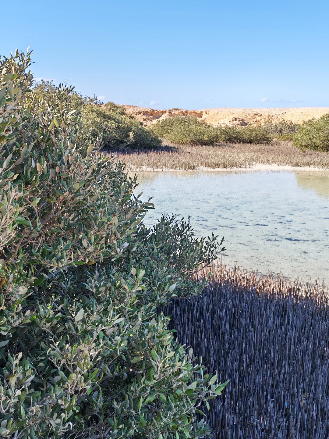 Нам очень понравилось отдыхать с Мустафой - весь день чувствовали себя, окружённые заботой и вниманием. Это