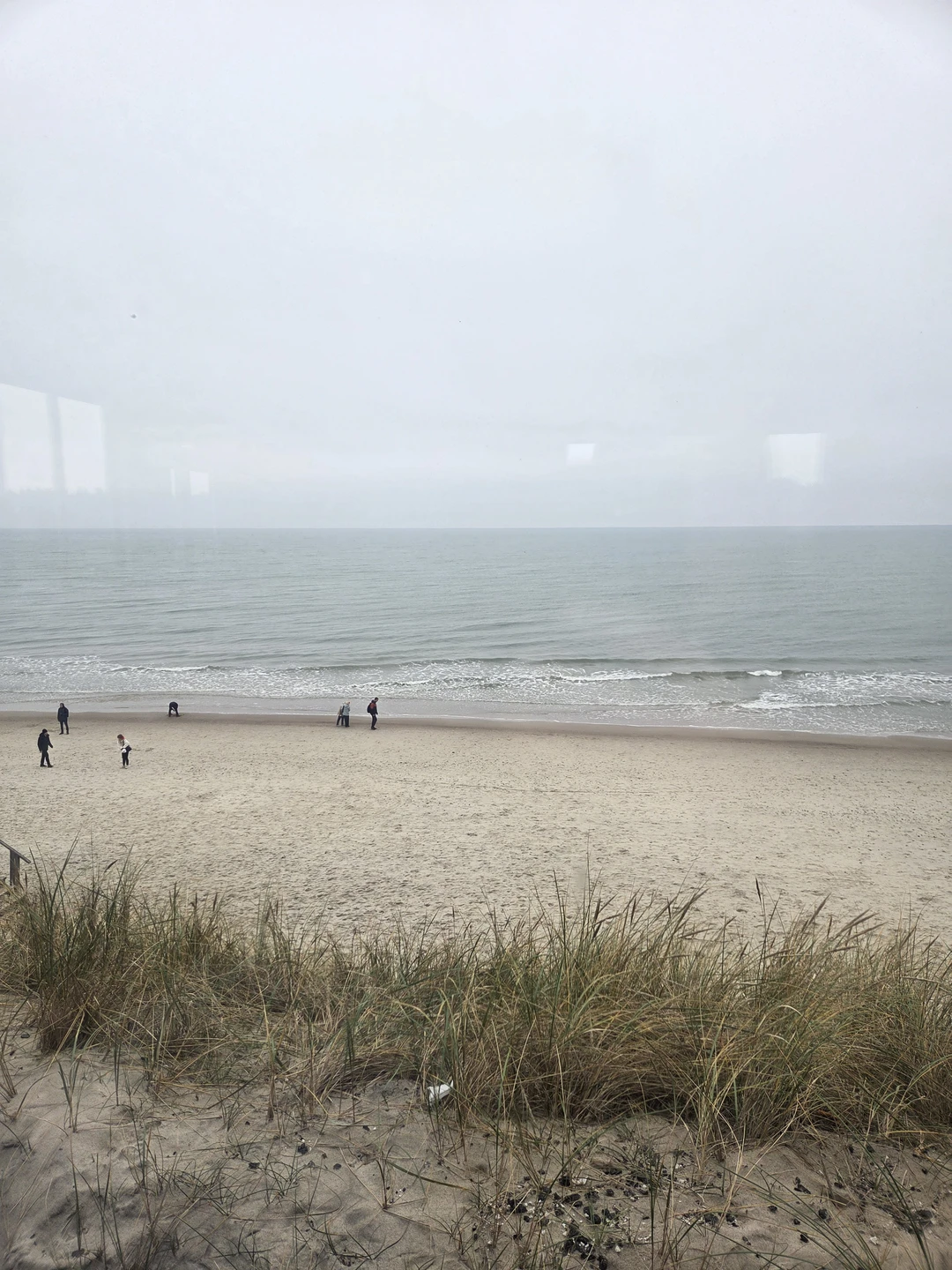 Утренняя Куршская коса, Зеленоградск и замок Нессельбек на автобусе (Валерий)