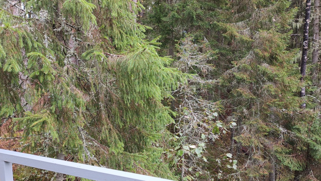 Карелия из Санкт-Петербурга: водопады, Рускеала и тот самый ретропоезд (Светлана)