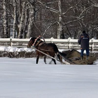 Фото отзыва 1: экскурсия "Прогулка по родному селу Есенина под Рязанью — Константинову"