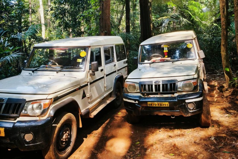 Весь Гоа за 1 день