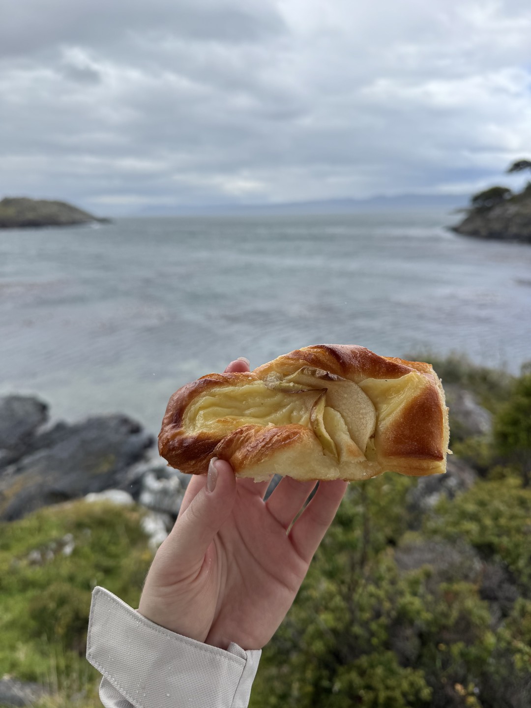 Благодарны Дмитрию за пунктуальность, заинтересованность в нашем комфорте, погружение в красоты Патагонии, внимательность к деталям и